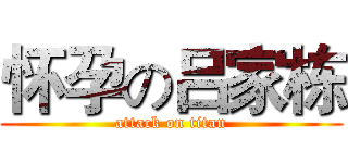 怀孕の吕家栋 (attack on titan)