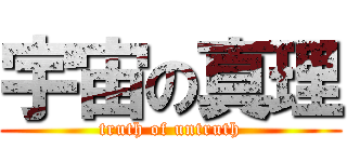 宇宙の真理 (truth of untruth)