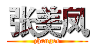 张美凤 (zhangeo)