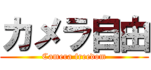カメラ自由 (Camera freedom)