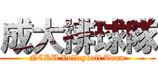 成大排球隊 (NCKU Volleyball Team)