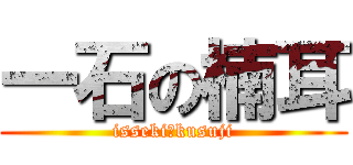 一石の楠耳 (isseki　kusuji)