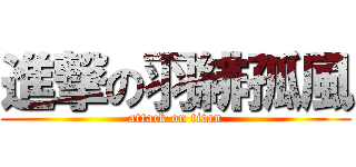 進撃の羽緋孤風 (attack on titan)