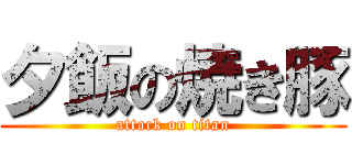 夕飯の焼き豚 (attack on titan)