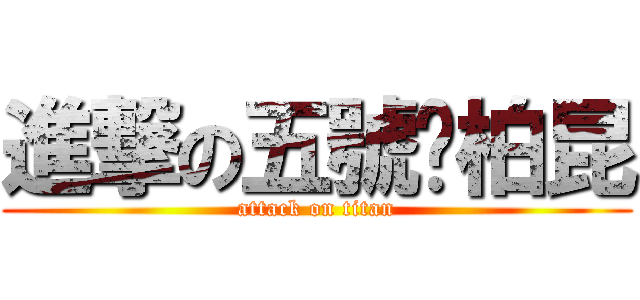 進撃の五號吳柏昆 (attack on titan)