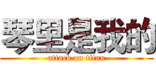 琴里是我的 (attack on titan)