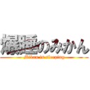 爆睡のみかん (Mikan is sleeping)