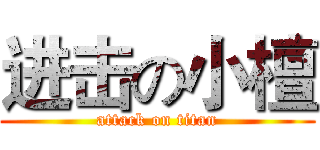 进击の小檀 (attack on titan)