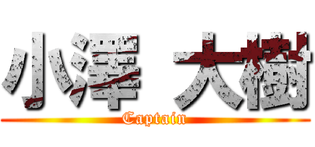 小澤 大樹 (Captain)