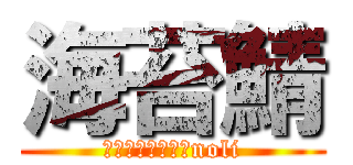 海苔鯖 (ＮＳＧａｍｅｒ＿noli)