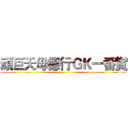 頑巨天母德行ＧＫ一番賞 ()
