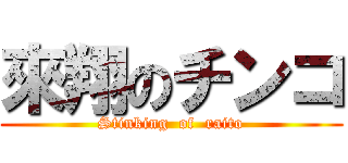 來翔のチンコ (Stinking  of  raito)