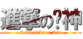 進撃の貓神 (Ssakakibara Rin)