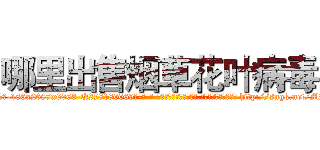 哪里出售烟草花叶病毒 (哪里出售烟草花叶病毒【电-186x2687x6963-Q278180069元-吉-药-业】我们做的是长期生意,靠的是老客户长期支持 http://sngk.net/MBFm3G
)