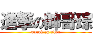 進撃の帥哥琮 (attack on titan)