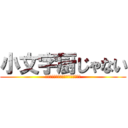 小文字厨じゃない (べっべっにこもぢちゅぅぢゃなぃし！)