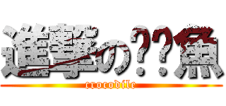 進撃のㄜˋ魚 (crocodile)