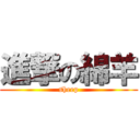 進撃の綿羊 (sheep)