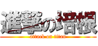 進撃の培根 (attack on titan)