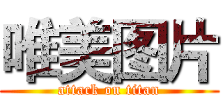 唯美图片 (attack on titan)