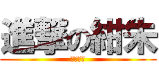 進撃の紺朱 (こんしゅ)