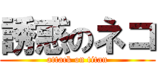 誘惑のネコ (attack on titan)