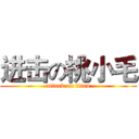 进击の桃小毛 (attack on titan)