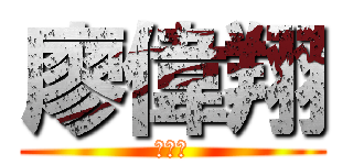 廖偉翔 (藍純宜)