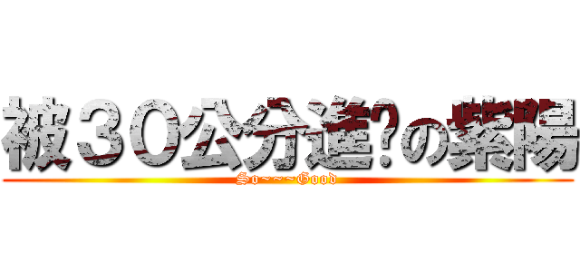 被３０公分進擊の紫陽 (So~~~Good)