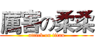 厲害の柔柔 (attack on titan)