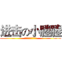 进击の小塍塍 (身高三米也是小正正的)