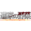 進家の野菜 (vegetable of Shin Family)