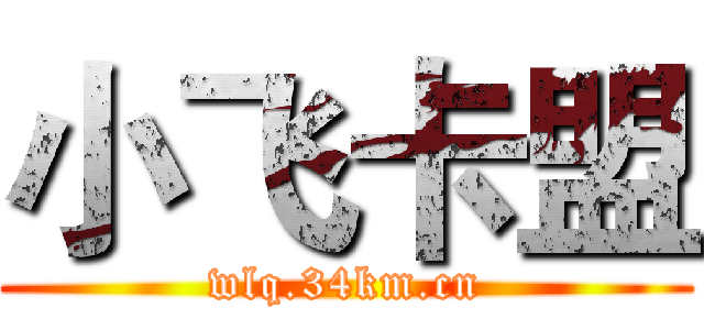 小飞卡盟 (wlq.34km.cn)