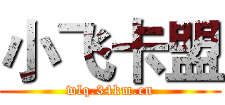 小飞卡盟 (wlq.34km.cn)