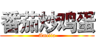 番茄炒鸡蛋 (Amelia)