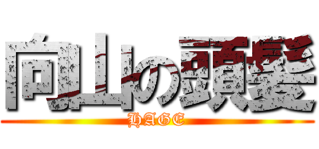 向山の頭髪 (HAGE)