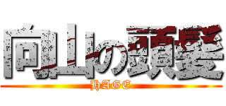 向山の頭髪 (HAGE)