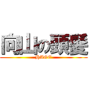 向山の頭髪 (HAGE)