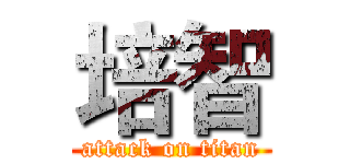 培智 (attack on titan)
