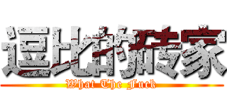 逗比的砖家 (What The Fuck)