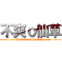 不爽ｏ仙草 (Bottom of the king)