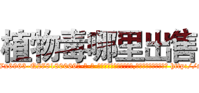 植物毒哪里出售 (植物毒哪里出售【电-186x2687x6963-Q278180069元-吉-药-业】我们做的是长期生意,靠的是老客户长期支持 http://sngk.net/2tenHJ
)