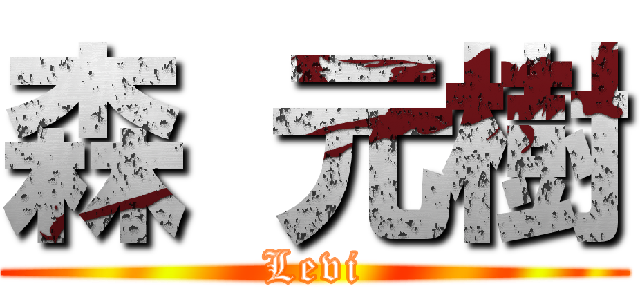 森 元樹 (Levi)