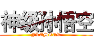 神级孙悟空 (FLAMTER)