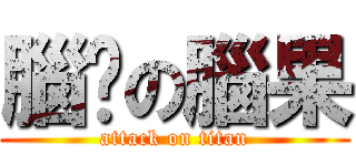 腦莼の腦果 (attack on titan)