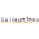 Ｓａｌｌａｕｍｉｎｅｓ (foot club)