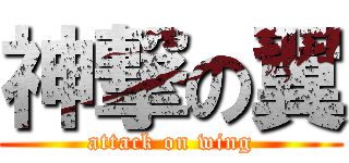 神撃の翼 (attack on wing)