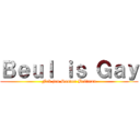 Ｂｅｕｌ ｉｓ Ｇａｙ (Fuk jou Sander Beltman)