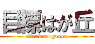 目標はが丘 (attack on gaoka)