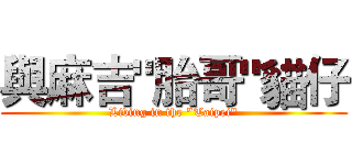 與麻吉"胎哥"貓仔 (Living in the "Taipei")